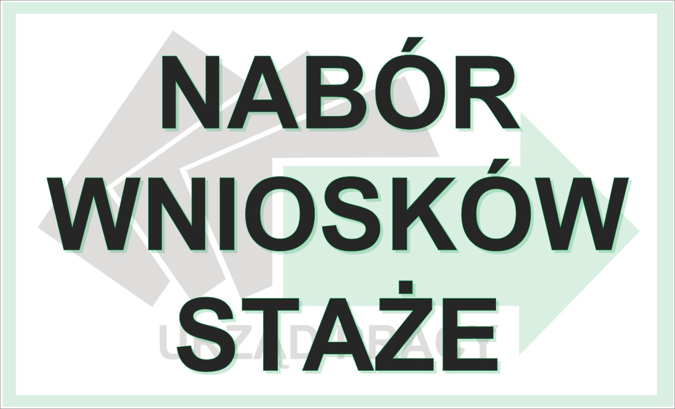 Zdjęcie artykułu Nabór wniosków na organizację staży z Programu Regionalanego Praca dla Pomorzan